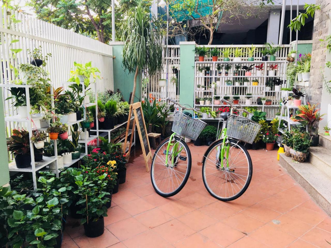 Bamboo Homestay Hué Extérieur photo